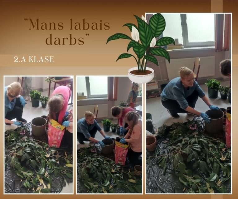 Paldies par zaļajiem darbiem!