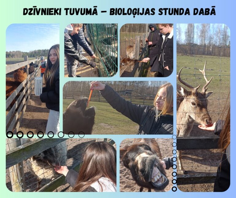 ZOO “Brieži”. Izzini un mācies