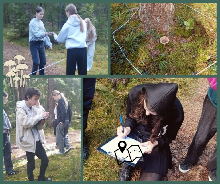 Pētījums mežā – mācību stunda dabā